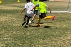 01f98f50-033e-4fca-a544-5df0bd019d44