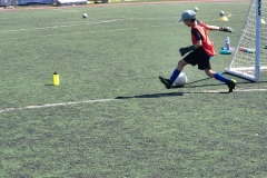 20260807_100823.jpg