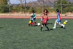 20260807_100830.jpg
