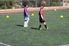 20260807_101059.jpg