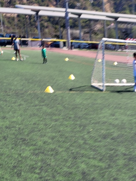 20260807_100433.jpg