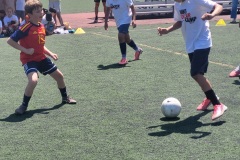 20260814_115642.jpg