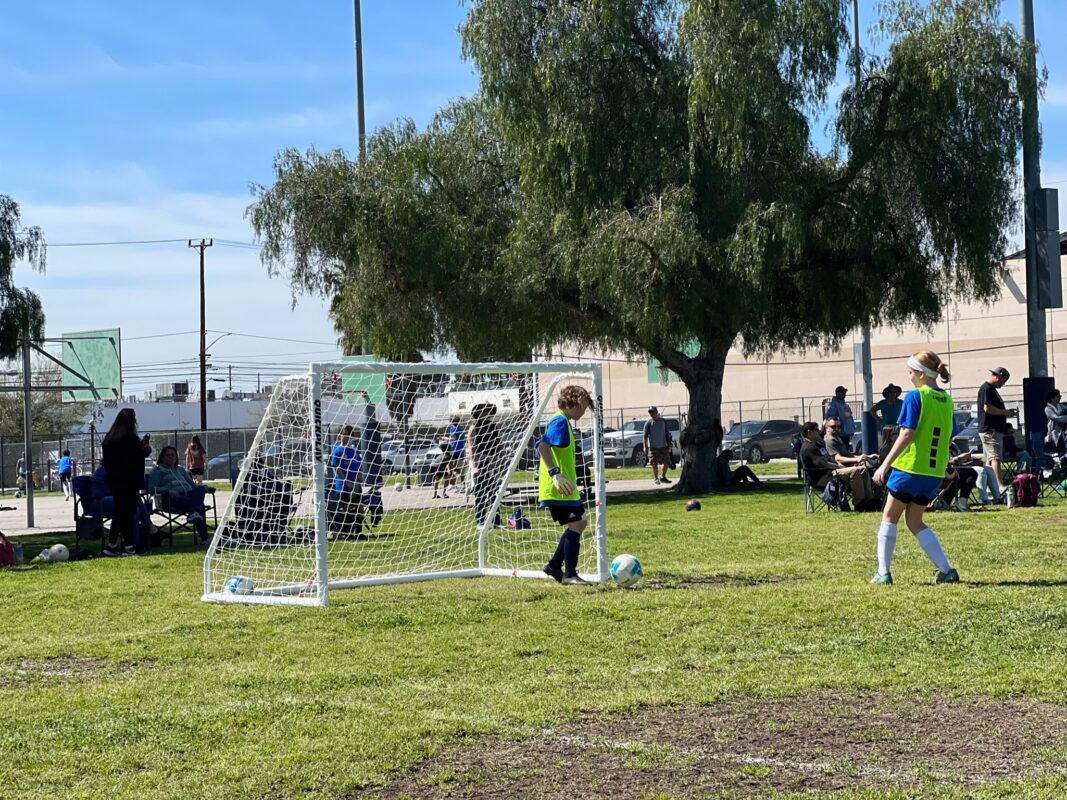 Goalkeeper in their goal